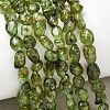 Natural Peridot Beads Strands G-P601-A01-01-1