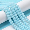 Glass Beads Strands EGLA-A034-P6mm-MD06-2