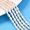 Natural Cultured Freshwater Pearl Beads Strands PEAR-N012-04W-01-1
