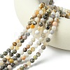Natural Bamboo Leaf Agate Round Bead Strands G-M248-6mm-04-5