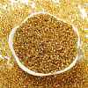 Glass Seed Beads SEED-S042-04A-12-2
