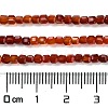 Natural Carnelian Beads Strands G-Q002-C01-02-2