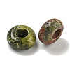 Natural Unakite Beads G-Q173-03A-21-2