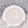 FGB Baking Paint Glass Seed Beads SEED-Q040-09A-01-2