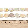 Natural Freshwater Shell Beads Strands X-BSHE-H018-06-4