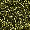Glass Seed Beads X-SEED-S042-04B-25-3