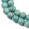 Natural Amazonite Beads Strands G-F461-12-10mm-01-8