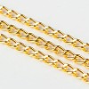 Iron Twisted Chains Curb Chains X-CHS003Y-G-1