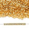 TOHO 8/0 Round Beads SEED-TR08-0022A-4