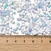 Two Tone Baking Paint Glass Seed Beads SEED-F005-01A-09-4