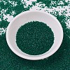 MIYUKI Delica Beads SEED-J020-DB0776-2