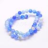 Natural Striped Agate/Banded Agate Bead Strands G-G962-10mm-13-2