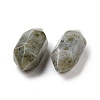 Natural Labradorite Double Terminal Pointed Pendants G-C007-02A-27-3