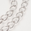 Iron Twisted Chains CH-1.6DK-N-2