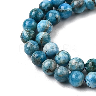 Natural Apatite Beads Strands G-G858-01B-01-1