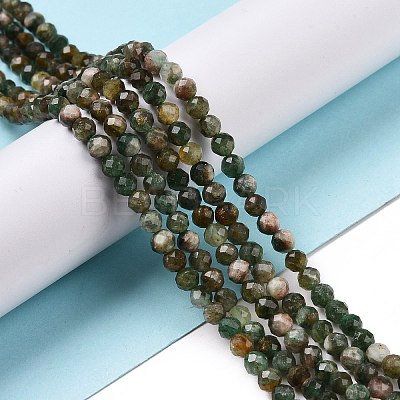 Natural Fuchsite Beads Strands G-C009-A02-1