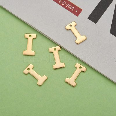 304 Stainless Steel Charms STAS-P141-I-1