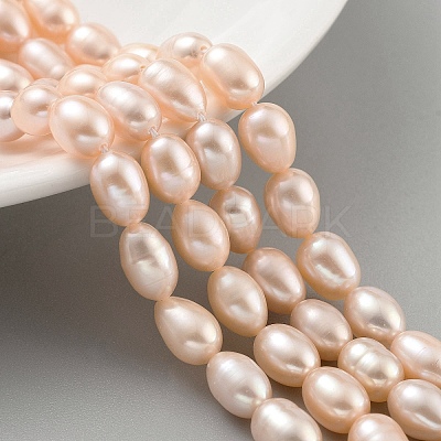 Natural Cultured Freshwater Pearl Beads Strands PEAR-P062-10G-1