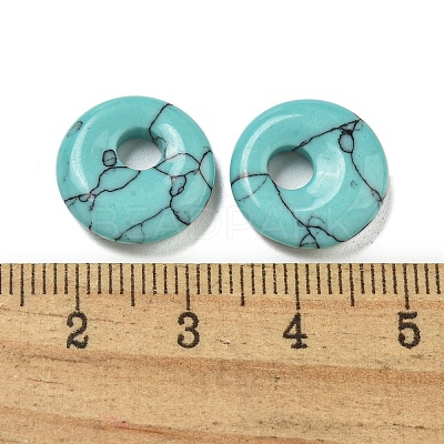 Synthetic Turquoise Donut/Pi Disc Charms G-G142-02O-1