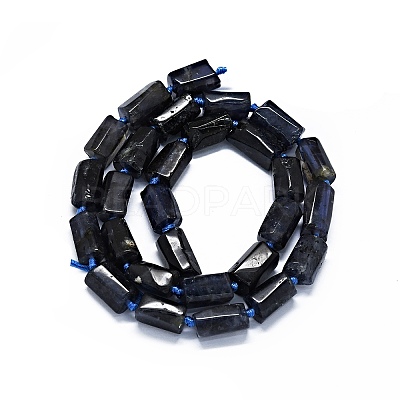 Natural Iolite Beads Strands G-O170-102-1