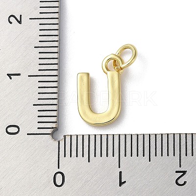 Rack Plating Brass Charms KK-P245-06G-U-1