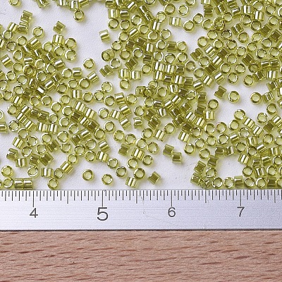 MIYUKI Delica Beads X-SEED-J020-DB0124-1