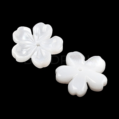 Natural White Shell Carved Beads SSHEL-I026-12D-05-1