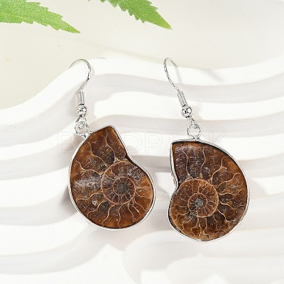 Fossil Spiral Dangle Earrings EJEW-P153-01-1