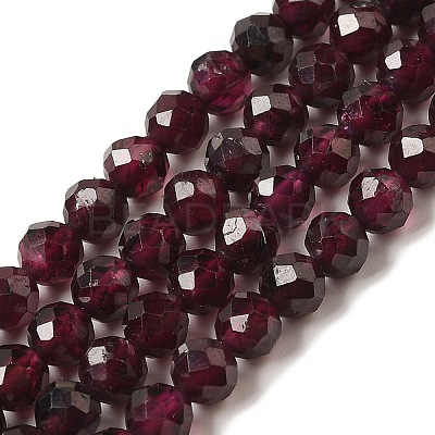 Natural Garnet Beads Strands G-F460-28-01-1