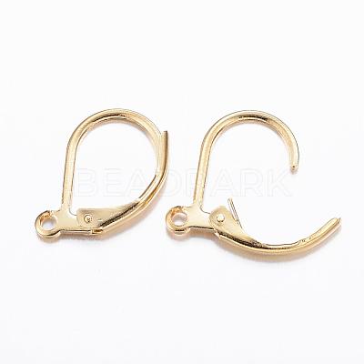304 Stainless Steel Leverback Earring Findings X-STAS-P166-12G-1