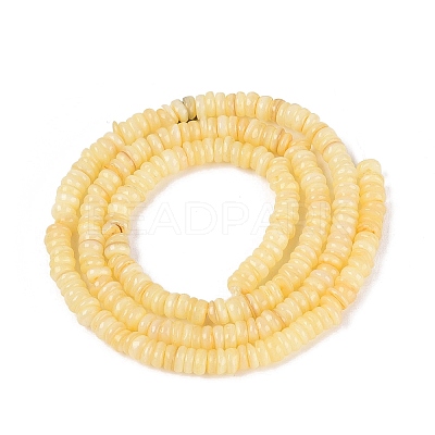 Natural Freshwater Shell Beads Strands SHEL-Q028-01B-1