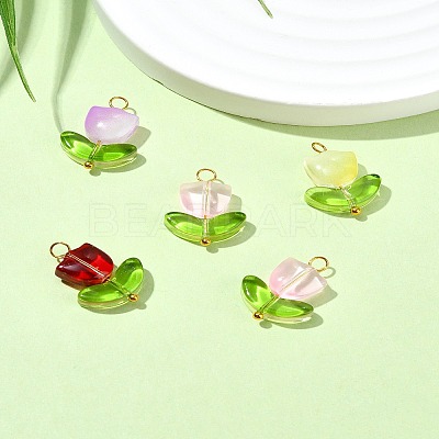Handmade Lampwork Pendants PALLOY-YW028-01-1