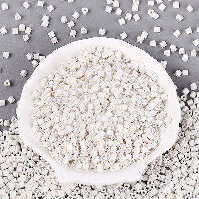 FGB Baking Paint Glass Seed Beads SEED-Q040-09A-01-1