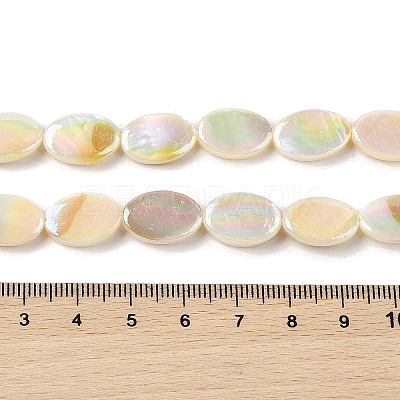 Natural Freshwater Shell Beads Strands X-BSHE-H018-06-1