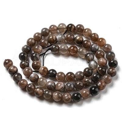Natural Black Moonstone Beads Strands G-A219-A01-03-1
