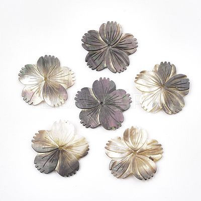 Black Lip Shell Beads SSHEL-S251-11-1
