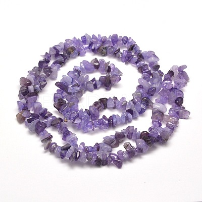 Natural Amethyst Chip Bead Strands G-M205-04-1