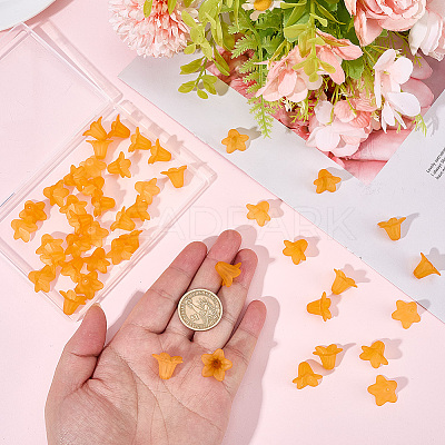 50Pcs Transparent Acrylic Beads OACR-SP0002-42-1