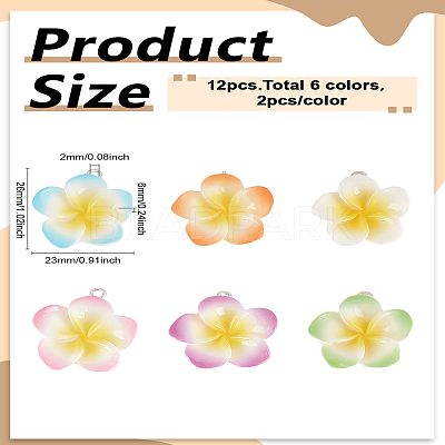 12Pcs 6 Colors Resin Pendants RESI-LP0001-59-1
