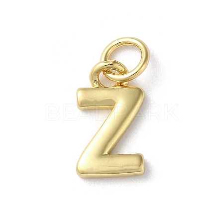 Rack Plating Brass Charms KK-P245-06G-Z-1
