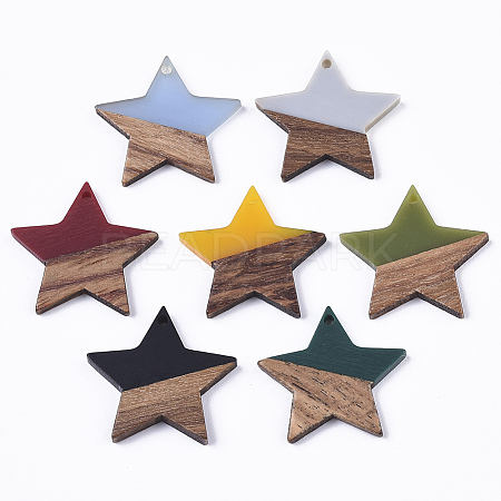 Resin & Walnut Wood Pendants X-RESI-T023-23-1