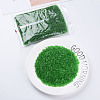 Transparent Glass Bugle Beads SEED-N005-001-C06-2