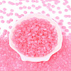 Glass Seed Beads SEED-T007-17F-2