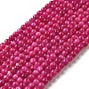 Natural Freshwater Shell Beads Strands X-SHEL-H003-03F-1