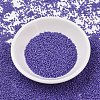 MIYUKI Delica Beads SEED-JP0008-DB2359-1