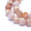 Natural Cherry Blossom Agate Beads Strands G-I249-B01-03-3
