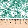 MIYUKI Delica Beads SEED-MY11-DB2505-3