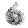 Natural Fluorite Beads Strands G-P530-B04-04-4