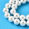 Rainbow Plated Shell Pearl Bead Strands BSHE-L025-02-8mm-3