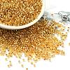 Glass Seed Beads SEED-S042-04B-12-1